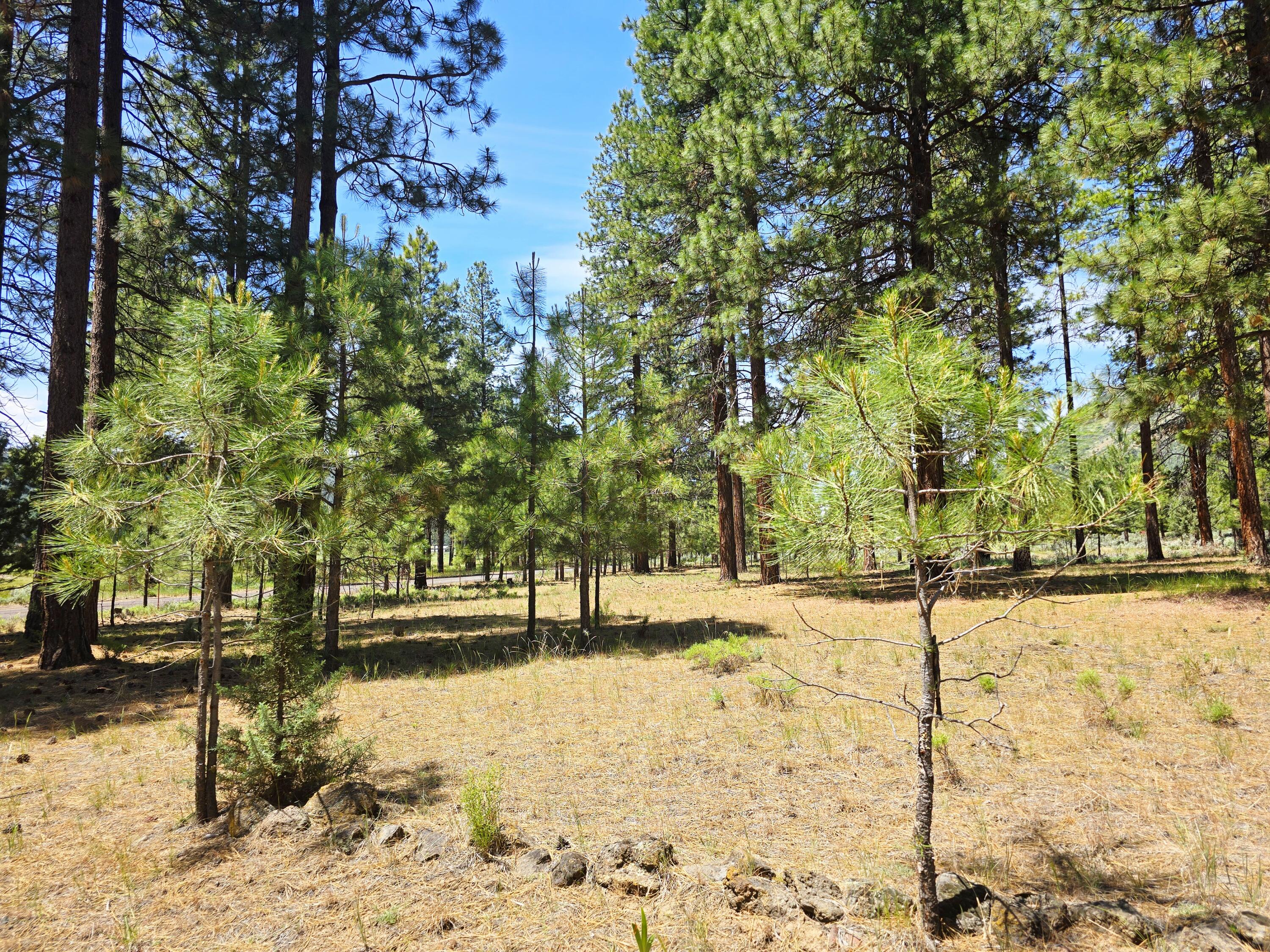 Plum Valley - Residential