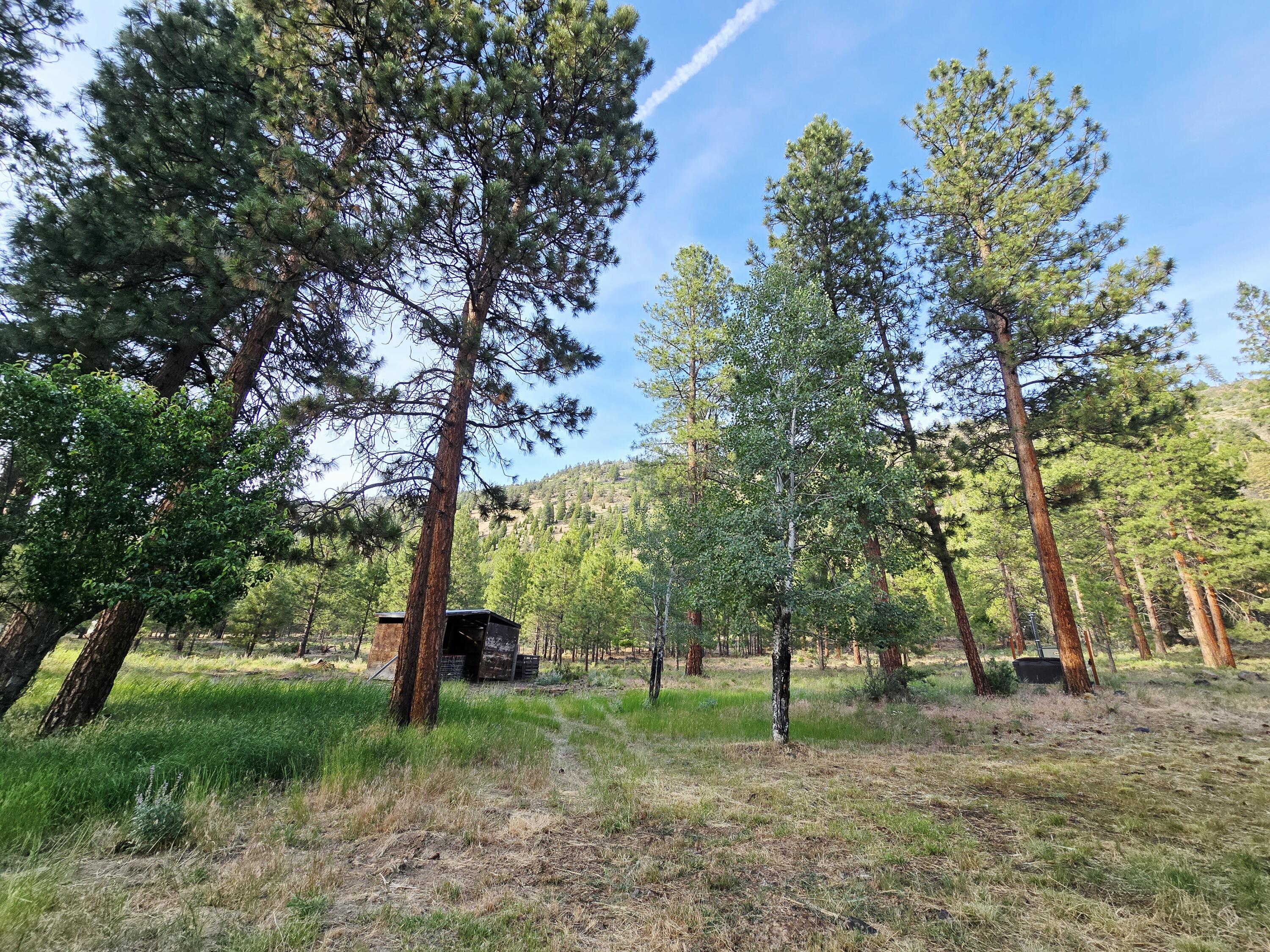 Plum Valley - Residential