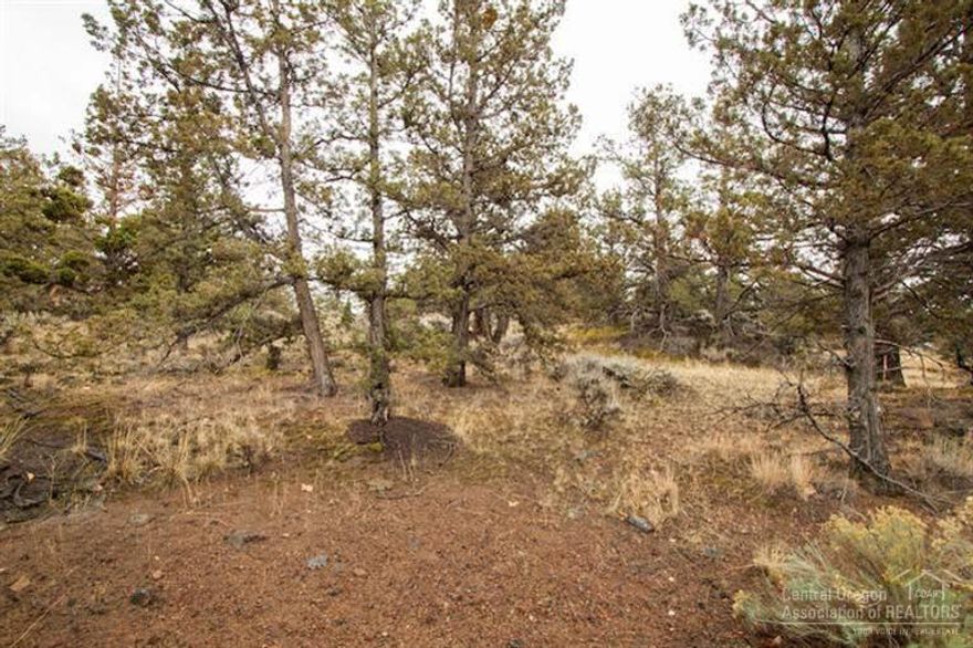 Gorgeous custom home lot close to everything... Schools, shopping, etc. Located in wonderful established neighborhood.