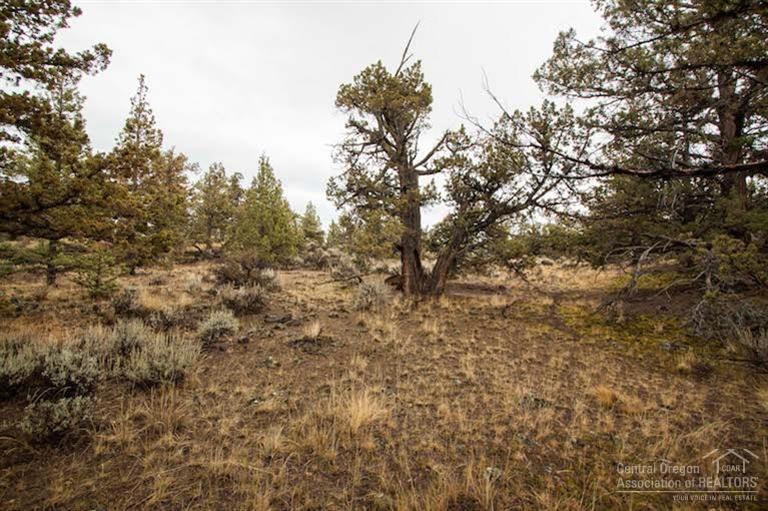 Jd Ranch Estate - Land
