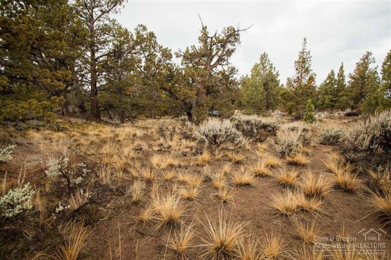Jd Ranch Estate - Land