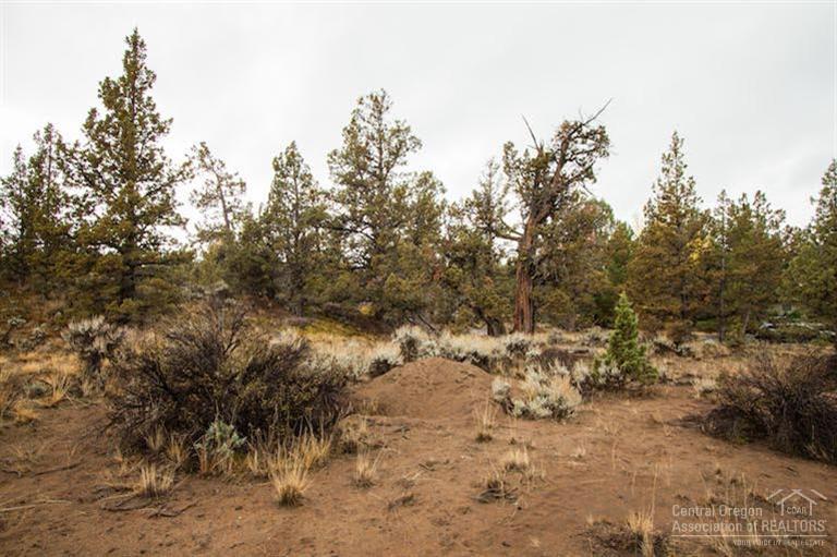 Jd Ranch Estate - Land