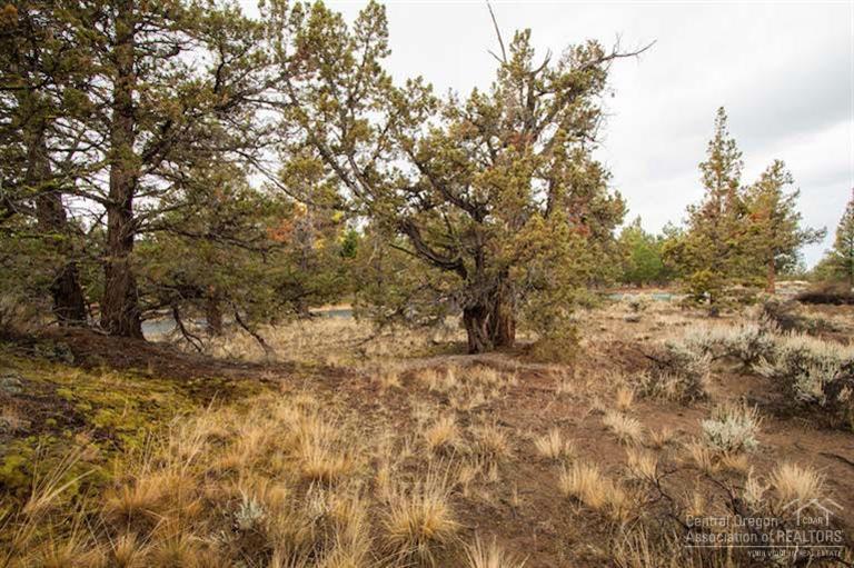 Jd Ranch Estate - Land