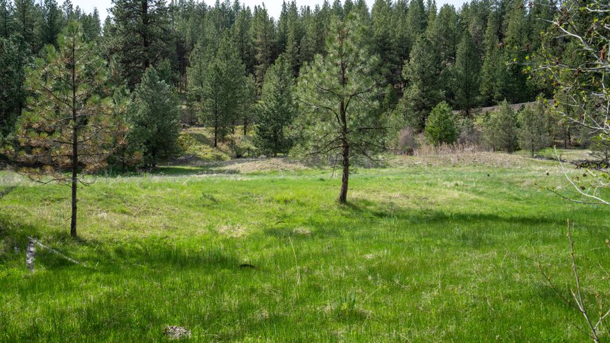1145 Acres w/timber, creek, meadows & sagebrush flats.Lots of diversity w/great wildlife habitat.Bear Creek runs along the NW boundary,year around stream.Excellent for hunting for deer & elk, qualifies for 2 LOP tags for deer and elk.Hiking,hunting,horseback riding,atv's,camping,grazing & more.Property qualifies for buildability,build a cabin for your private retreat or your year around home.County Rd is plowed throughout the winter. 7 Minutes to Prairie City & 12 minutes to John Day,Or