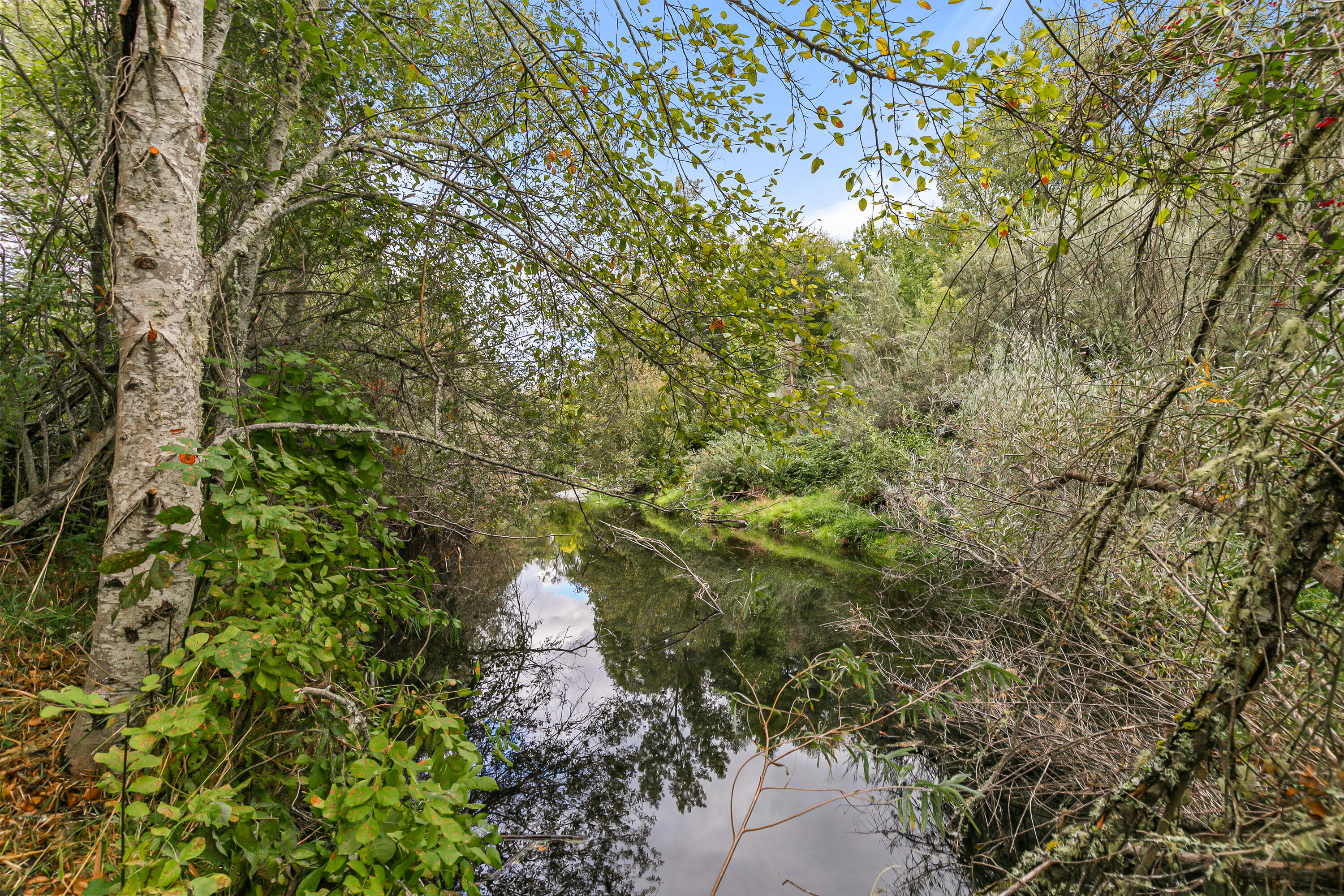 Williams Crossing Subdivision - Residential