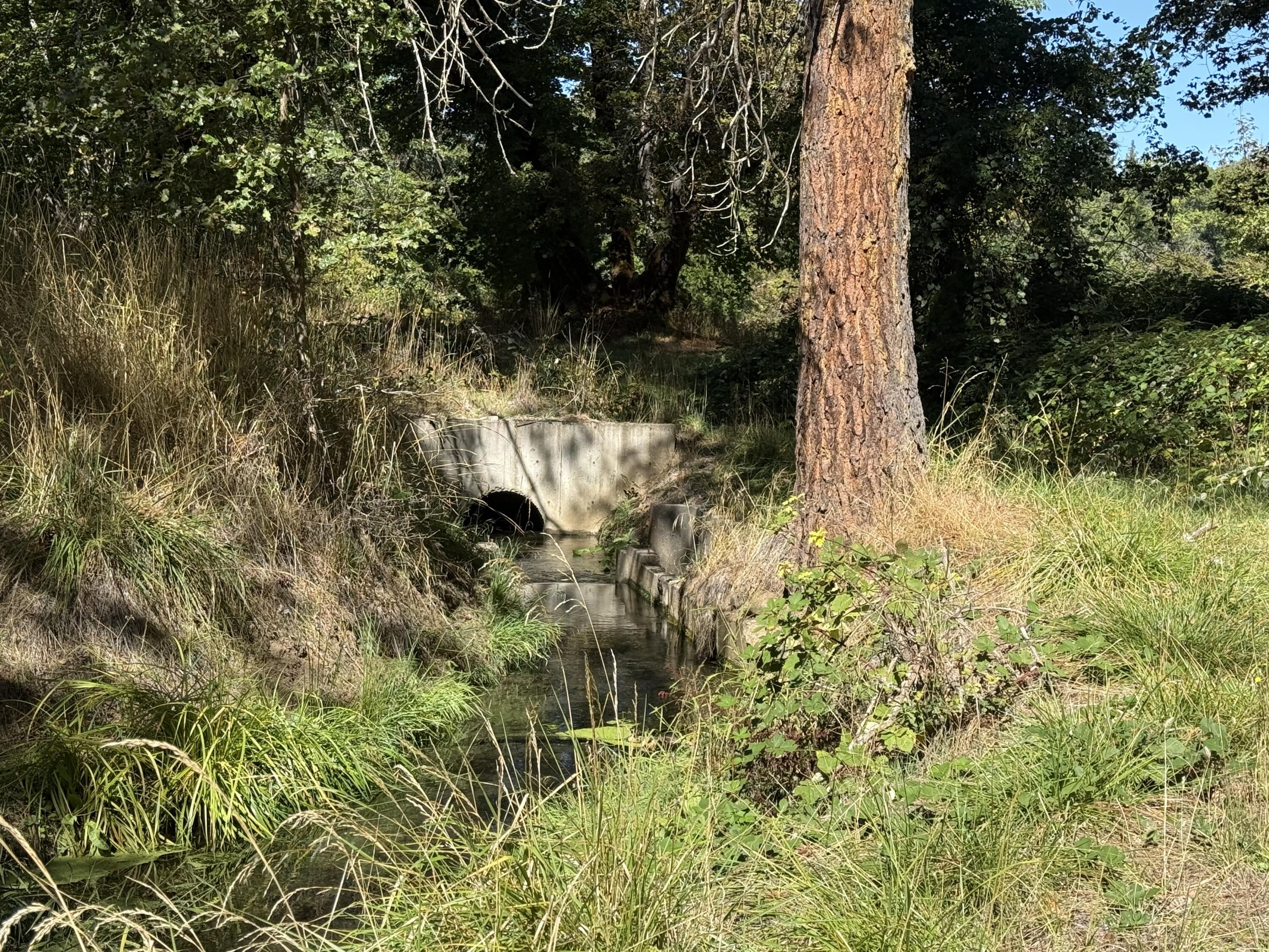 Williams Crossing Subdivision - Residential