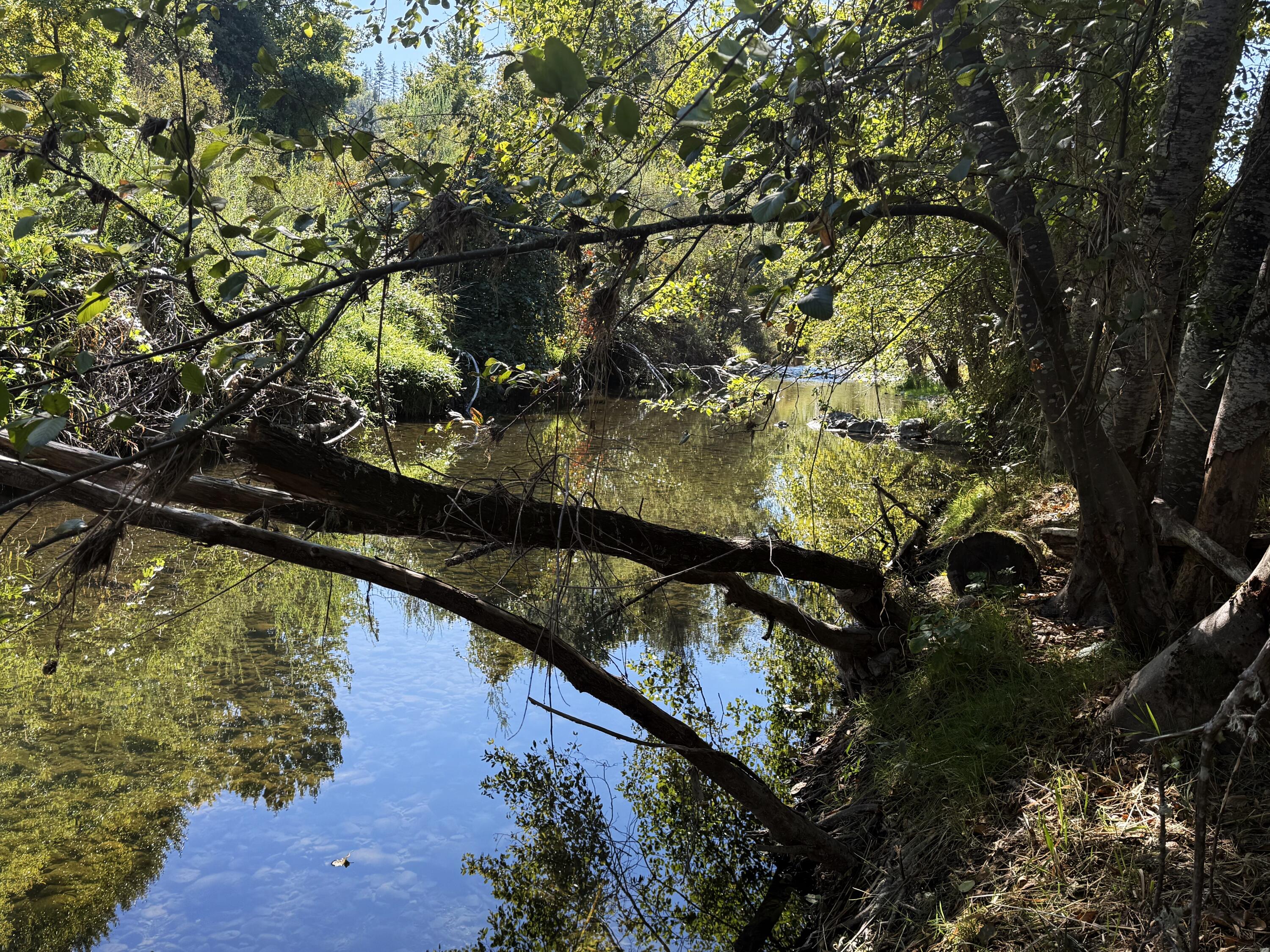 Williams Crossing Subdivision - Residential