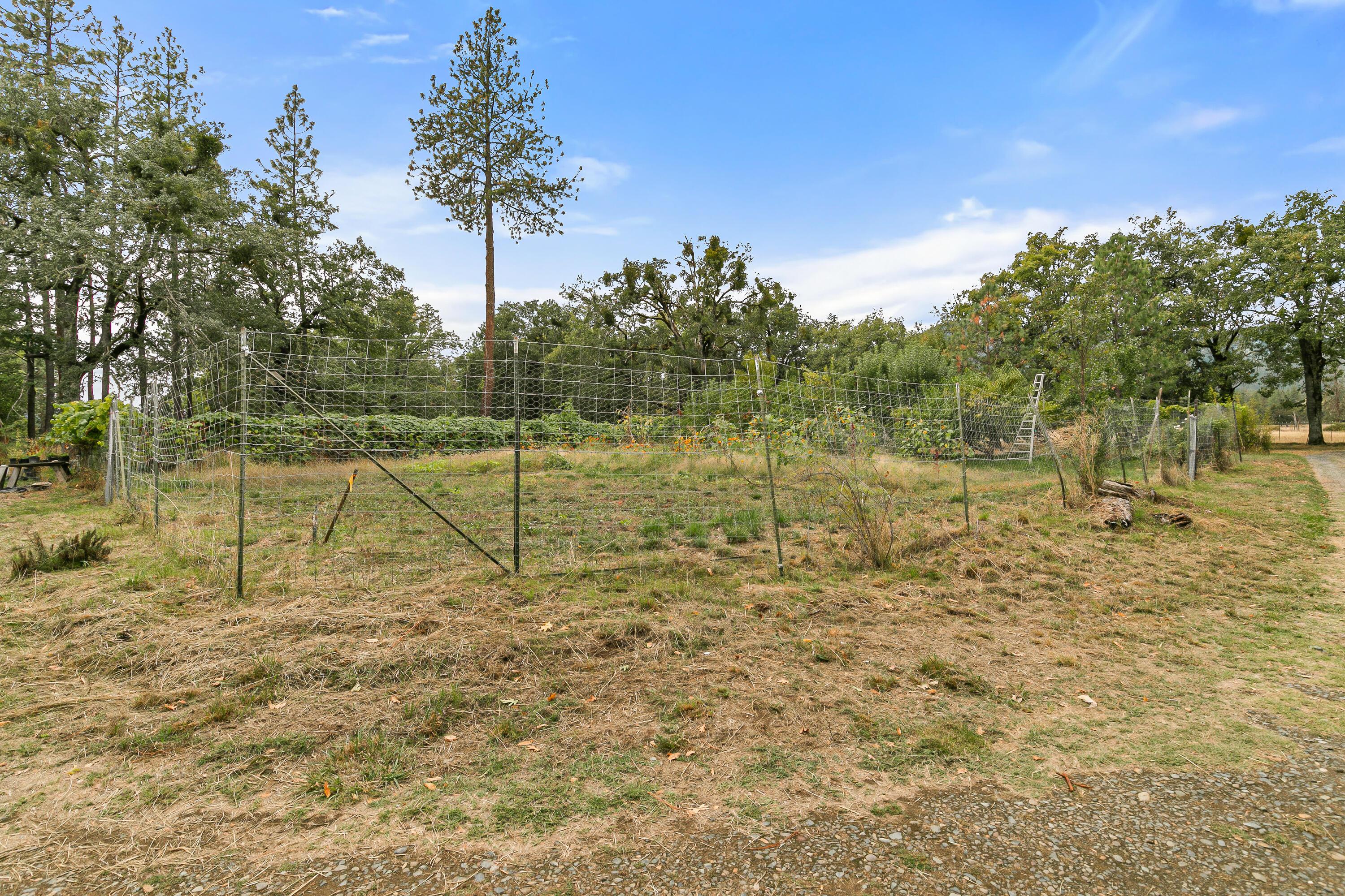 Williams Crossing Subdivision - Residential