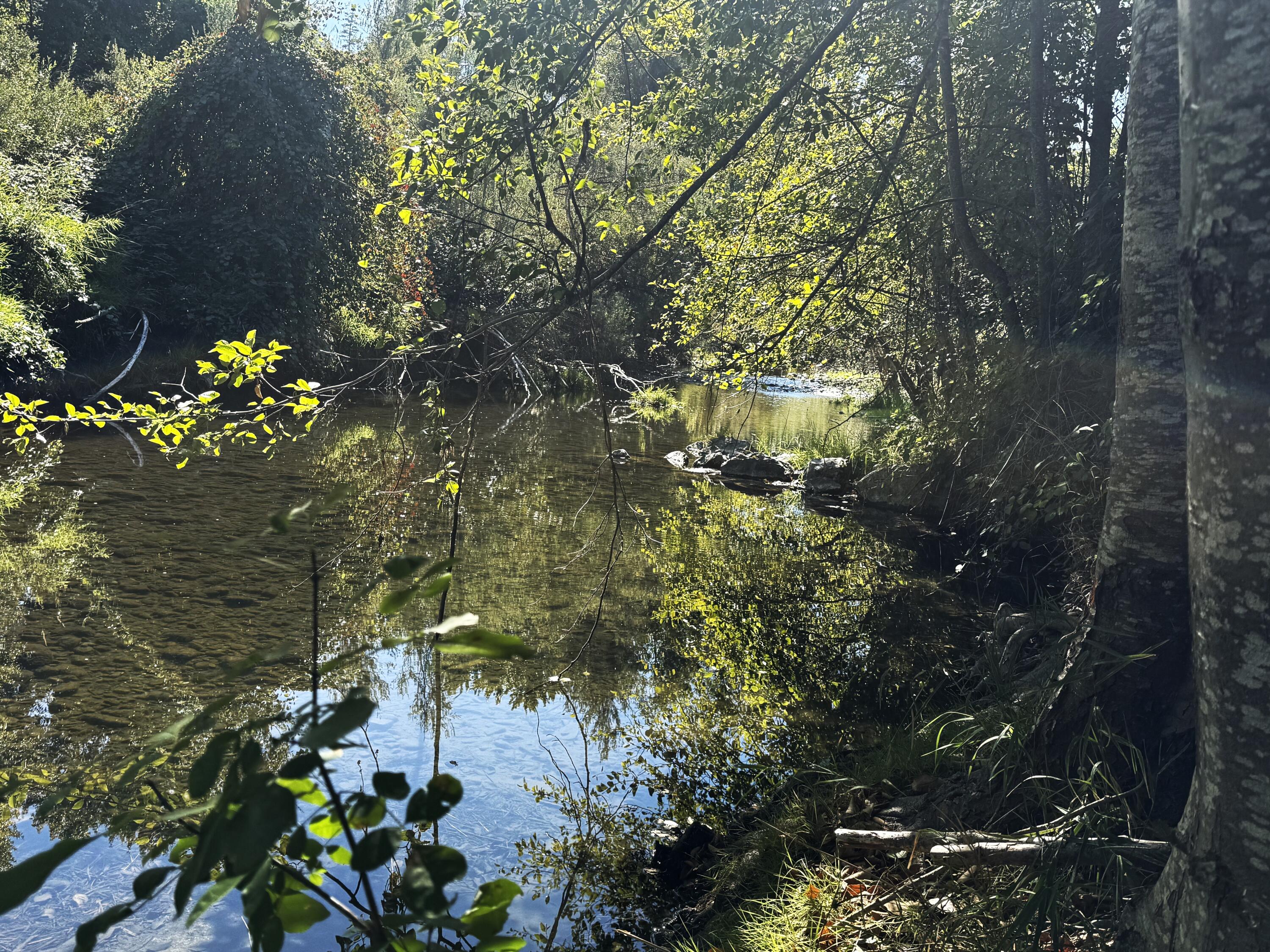 Williams Crossing Subdivision - Residential