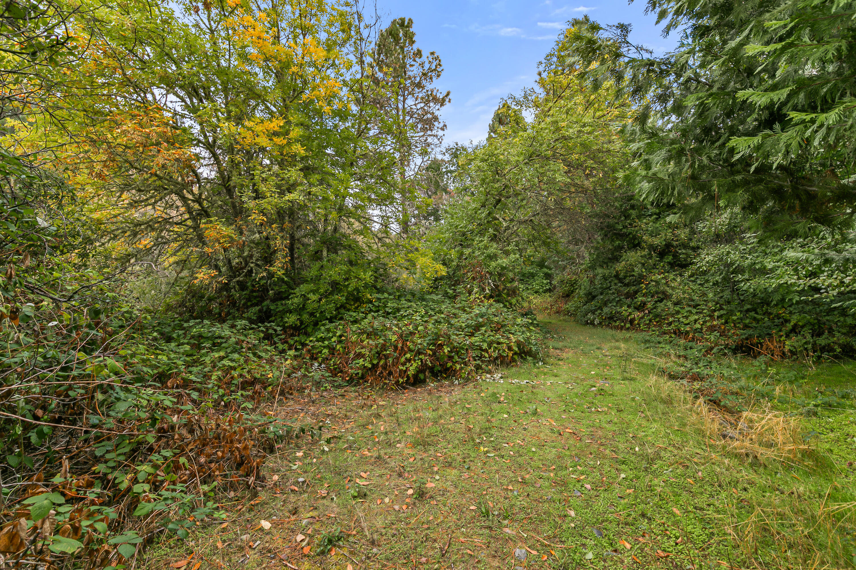 Williams Crossing Subdivision - Residential