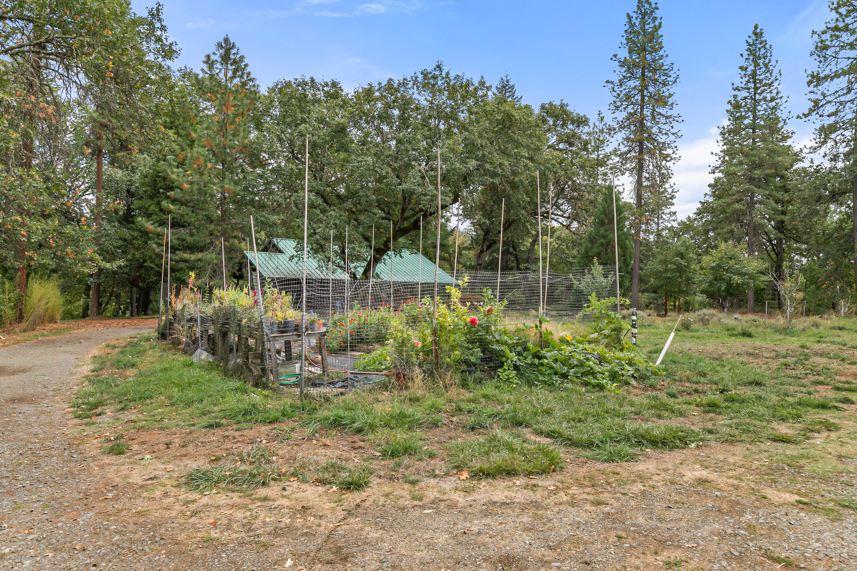 Williams Crossing Subdivision - Residential