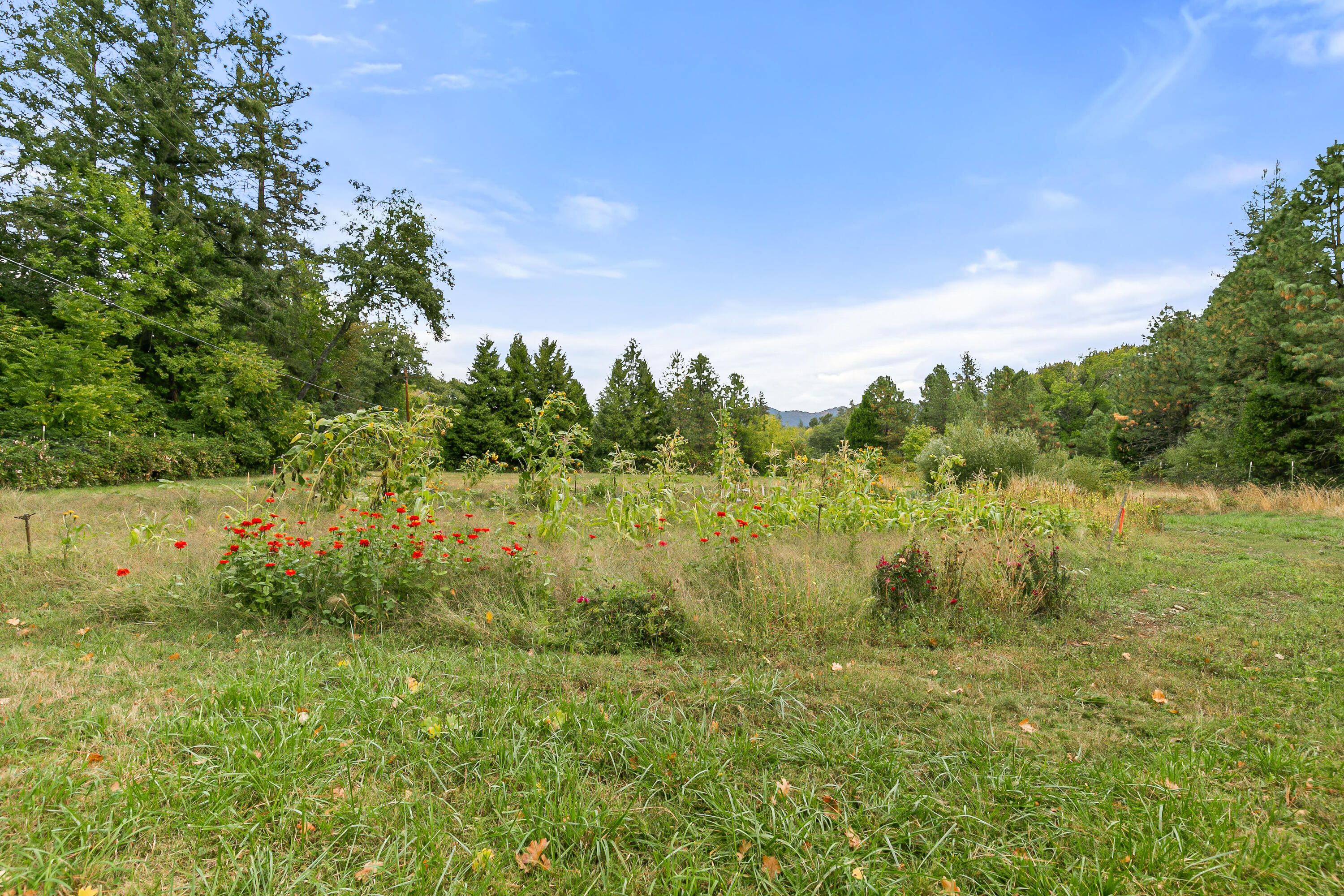 Williams Crossing Subdivision - Residential