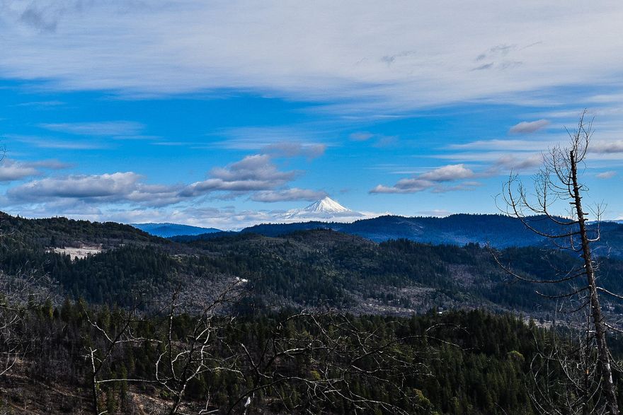 This is a true Oregon Dream Property.  46.5 acres adjoining BLM land.  Roads have been cut into several different areas of this property featuring a terraced garden with a south-facing slope.  A space at the top of the mountain has been cleared to build your dream home featuring breathtaking 360-degree views of Mt. McLaughlin and the surrounding Cascades. The well, when drilled, produced 32-35gpm and the property comes with 6-2500 gallon holding tanks and a shipping container. Electricity is close and right to the property line.