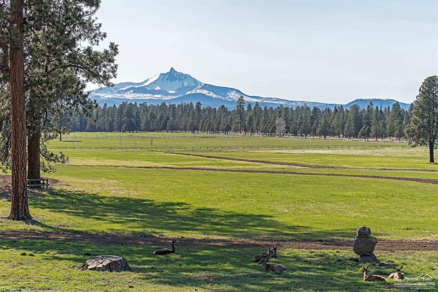 Pine Meadow Vill - Residential