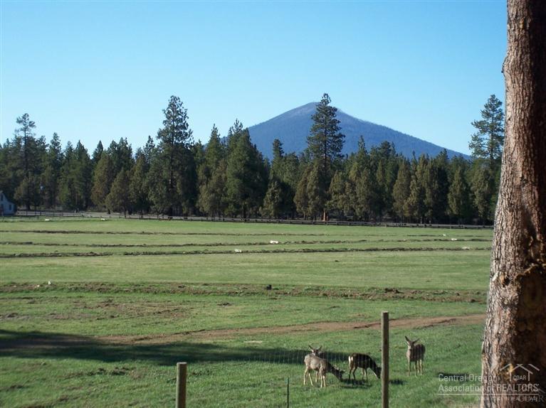 Pine Meadow Vill - Residential