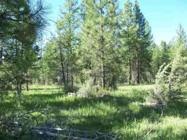 Sprague River - Land