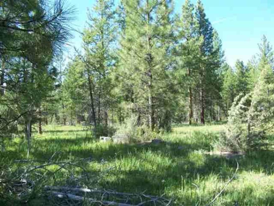 What A Find! 50+ Remote Acres Bordering National Forest! Property Is In The Process Of Being Properly Groomed To Meet Urban-rural Interface And Fire Safety Standartds. Lots Of Pines And Quaking Aspen With Forest Service Road Through Part Of The Property. Some Wetlands On The Eastern Boundary With A Spring Per Owner! Perfect For Your Dream Vacation Or Hunting Cabin Or Even Remote Year Round Living. Seller Is Having Road Work Done For Easier Access.