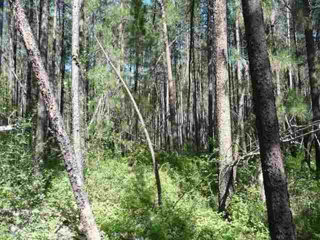 Sprague River - Land