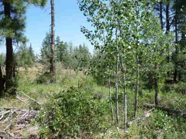 Sprague River - Land