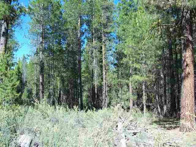 Sprague River - Land
