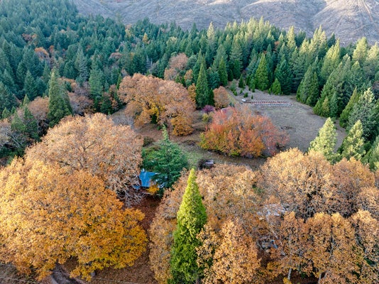 1480 BRIDGE LN, WOLF CREEK, OR 97497 - Image 0c045bed9cf06840648f3df2b6cd73a9/1317568459