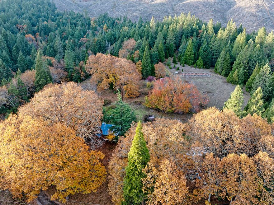 Escape to 40 private acres in the quiet hills of Wolf Creek, Oregon. Built in 1870, this historic home offers timeless charm with vaulted ceilings and an open floor plan. A seasonal creek runs through the property, adding to its peaceful setting. Inside, you'll find a recently remodeled bathroom and a spacious walk-in closet. Surrounded by nature and full of potential, this property is perfect for those looking to create a private retreat or homestead. A true contractor's special ready for your vision and finishing touches.