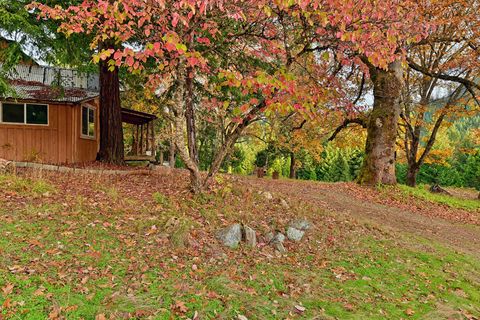 Tiny photo for 1480 Bridge Lane, Wolf Creek, OR 97497 (MLS # 220211968)