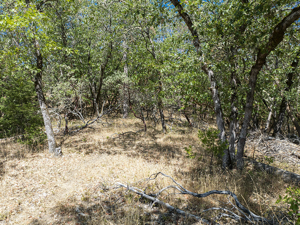 Meadow Wood Subdivision - Land