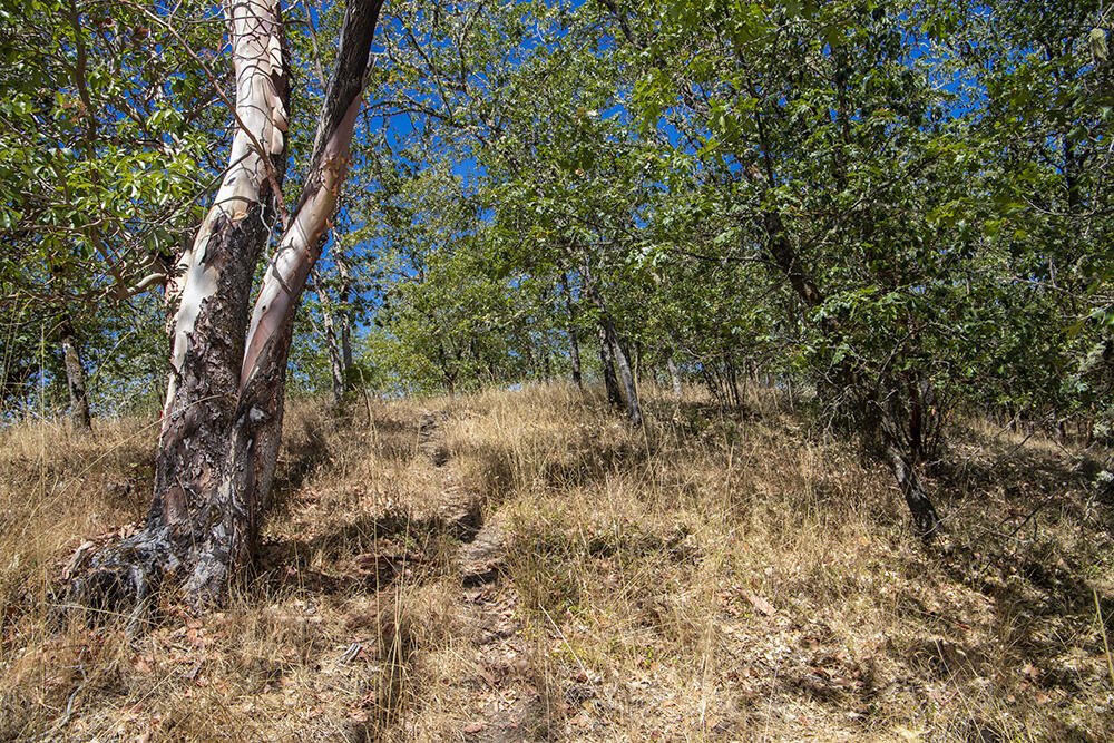 Meadow Wood Subdivision - Land