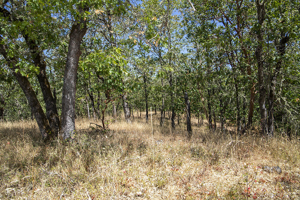 Meadow Wood Subdivision - Land