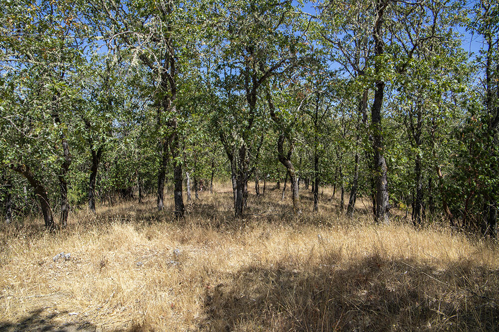 Meadow Wood Subdivision - Land