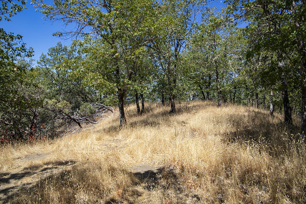 Meadow Wood Subdivision - Land