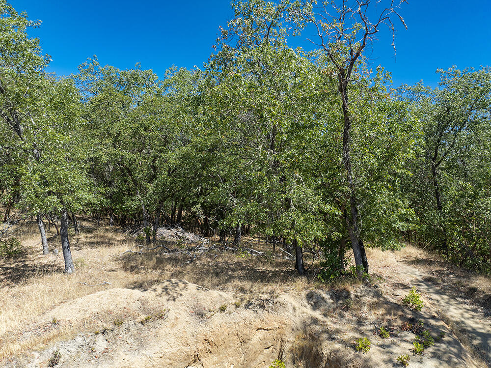 Meadow Wood Subdivision - Land