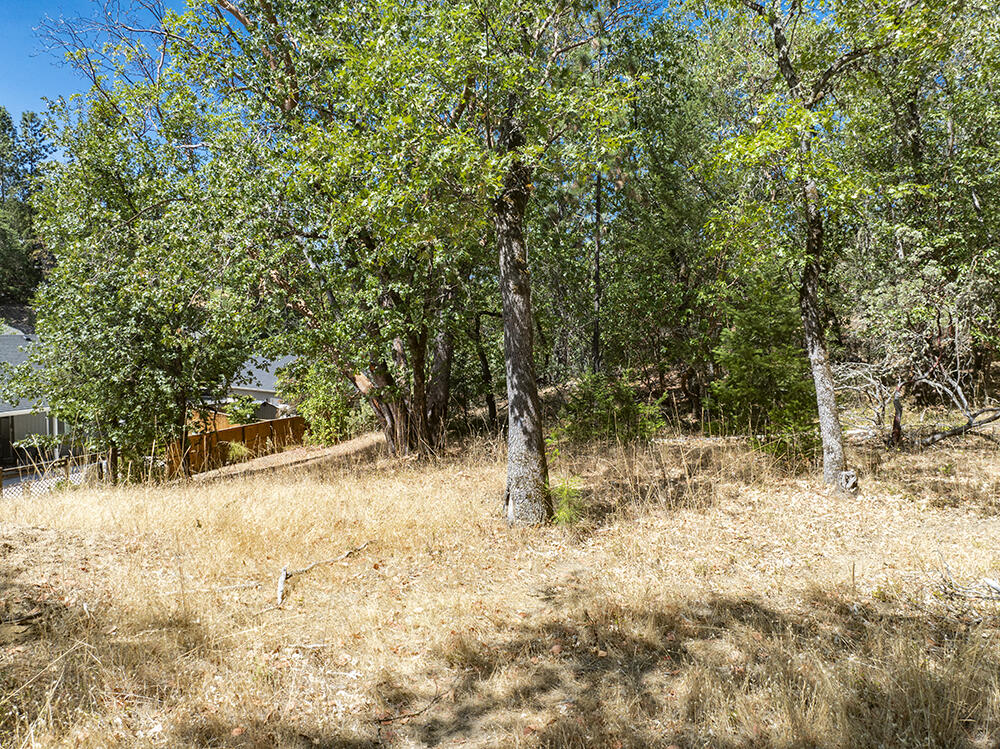 Meadow Wood Subdivision - Land