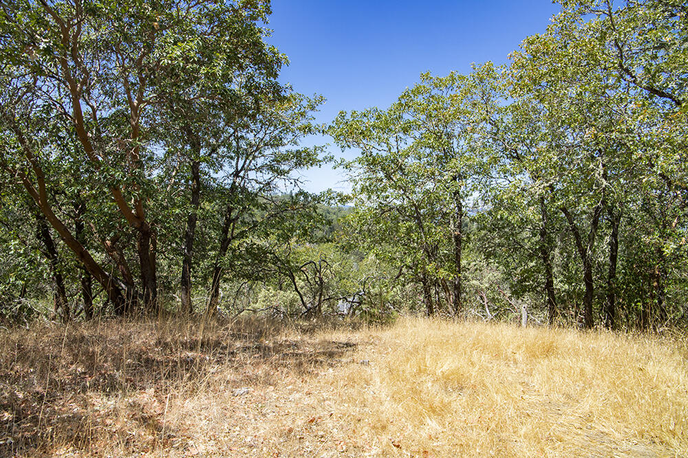 Meadow Wood Subdivision - Land