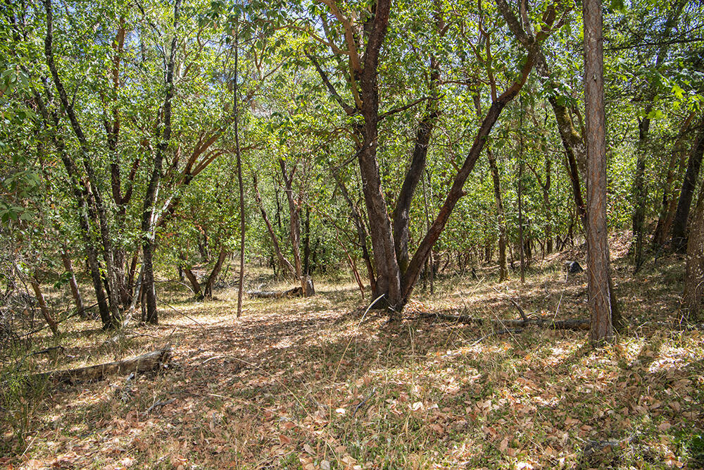 Meadow Wood Subdivision - Land