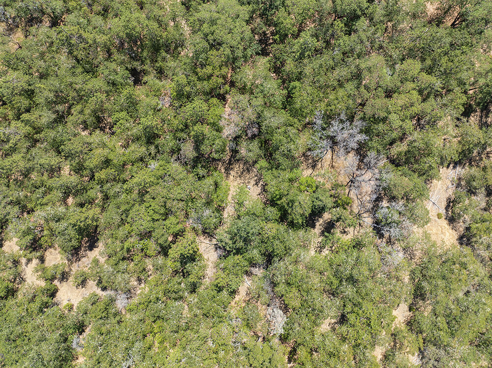 Meadow Wood Subdivision - Land