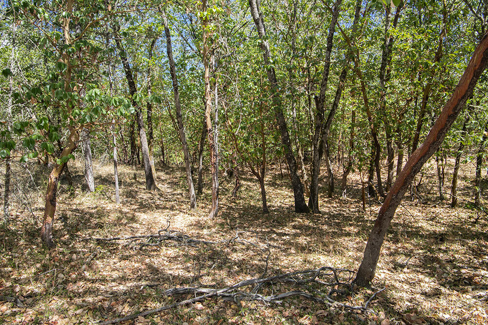 Meadow Wood Subdivision - Land