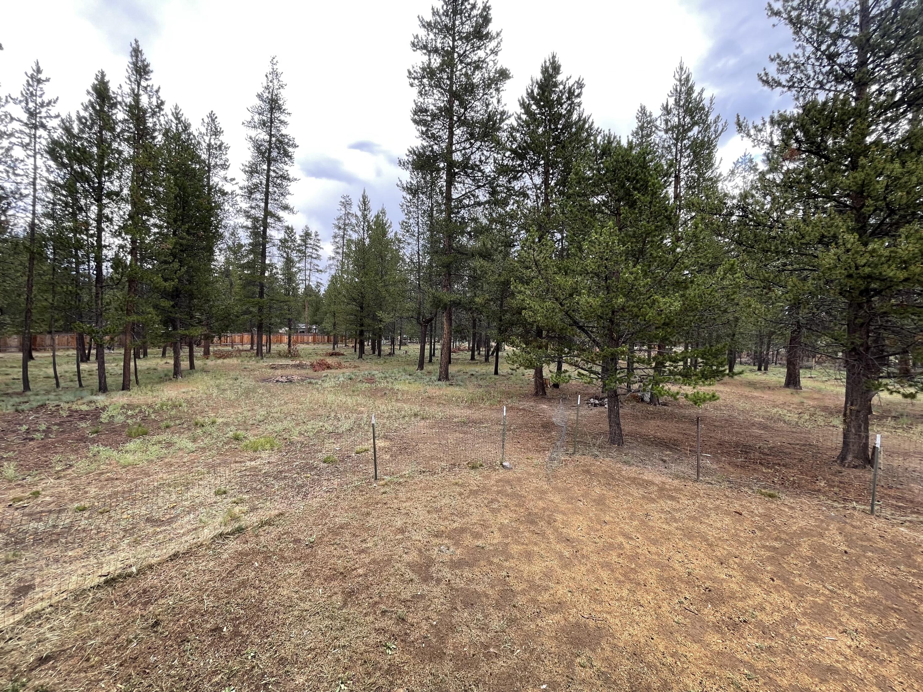 Sun Forest Estates - Residential