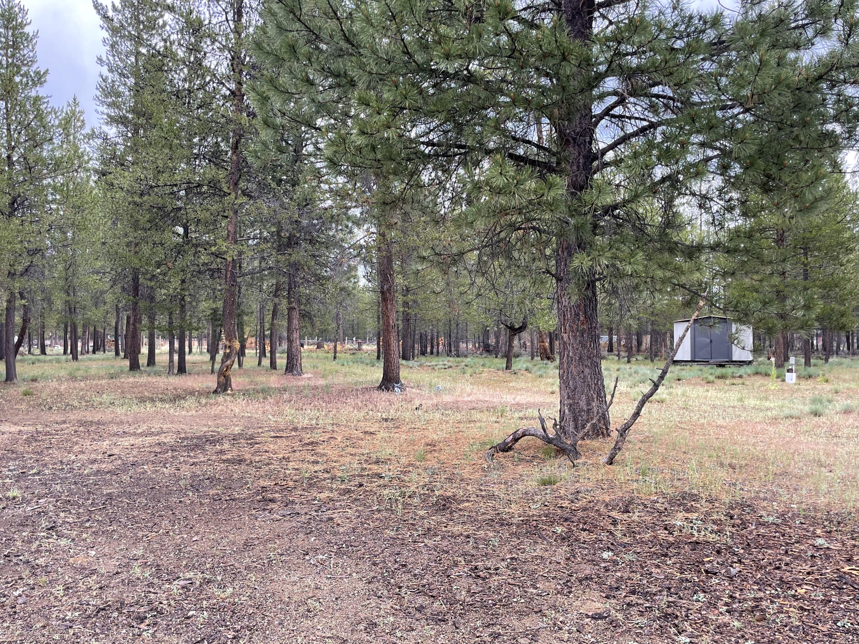 Sun Forest Estates - Residential