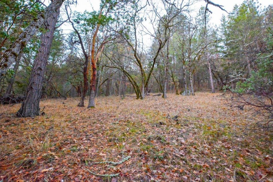 Location! Location! Location! This 2.18 acre lot is located just minutes from Downtown Ashland and is ready for you to build your dream house. This one of a kind property creates a private oasis nestled amongst tall trees and has the potential for an amazing view of the mountains and city lights. In addition to the privacy you are also located just minutes from Lithia Park, Strawberry/Hald Park, the Shakespeare Festival, Award winning Restaurants, Ashland Plaza, Shopping, Spas, and much more. Buyer to do own due diligence regarding all aspects of property.