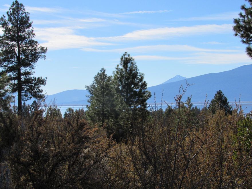 Great one acre parcel in an up scale subdivision. Homes only no manufactured homes. Need septic and well, power at road. view of the lake close to recreation. Crater Lake Zipline , kayaking, duck hunting ,fishing Lots of hiking trails. Come build your dream home on this level one acre parcel.