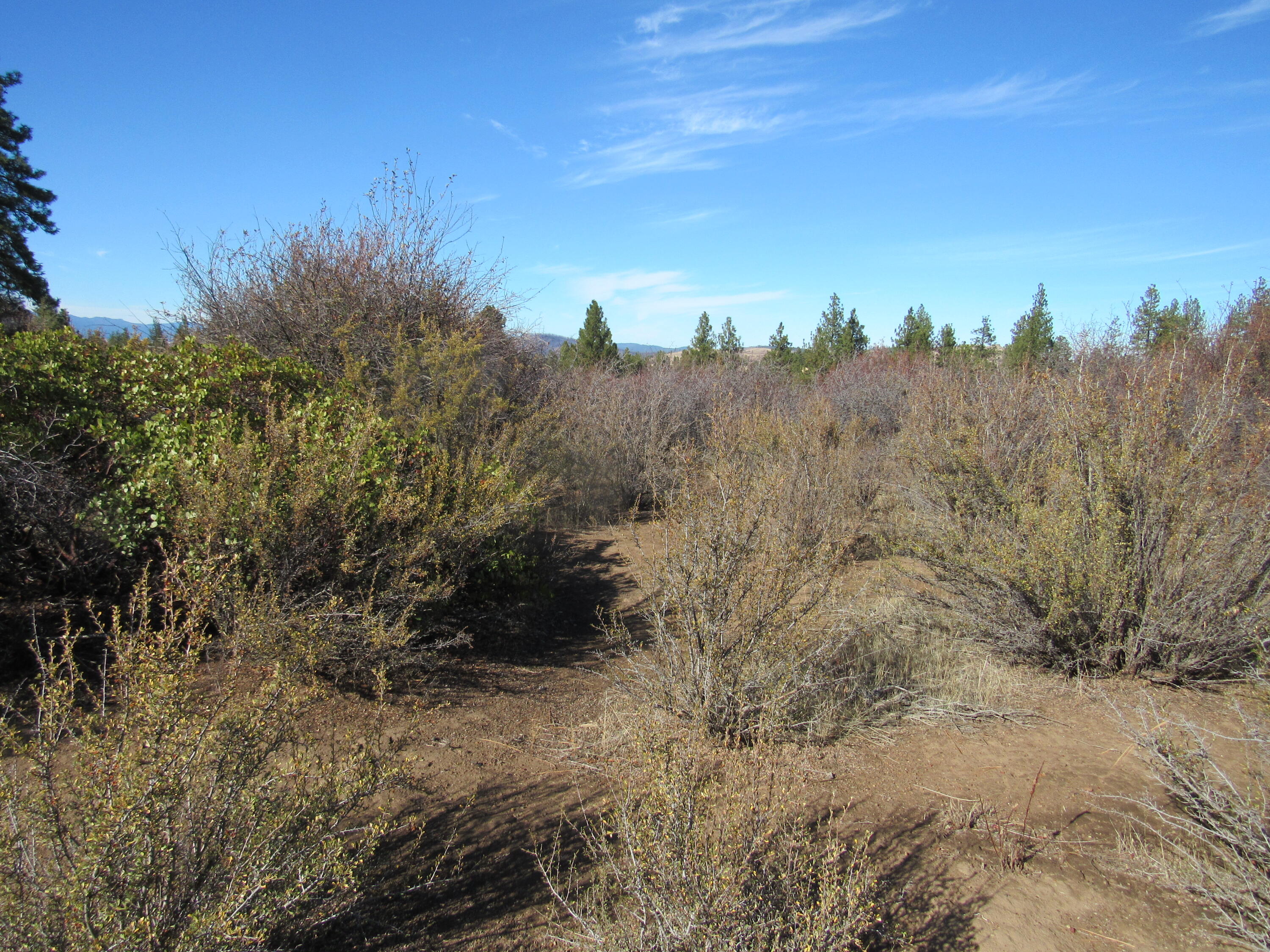 Monte Vista Ranch - Land