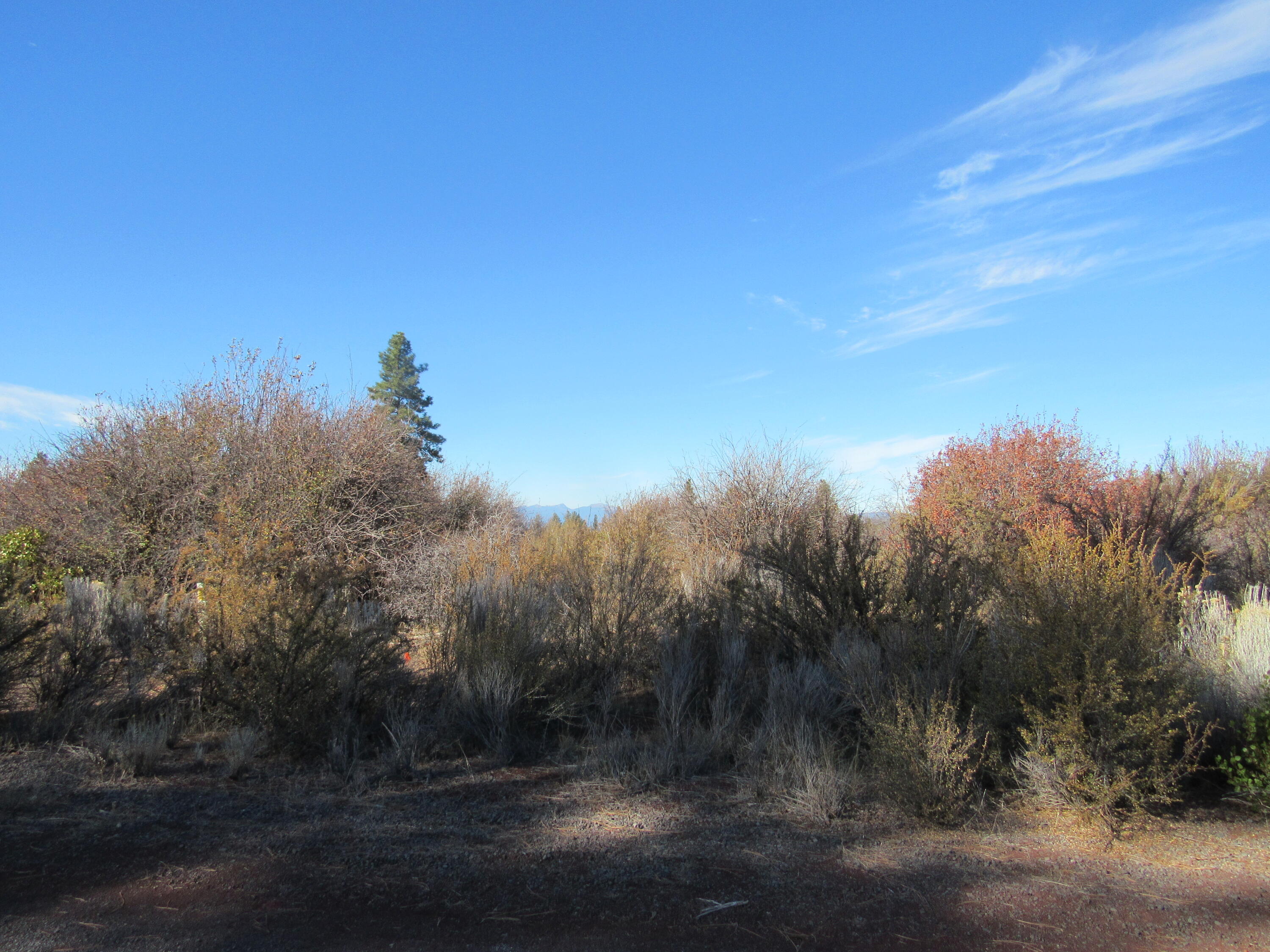 Monte Vista Ranch - Land