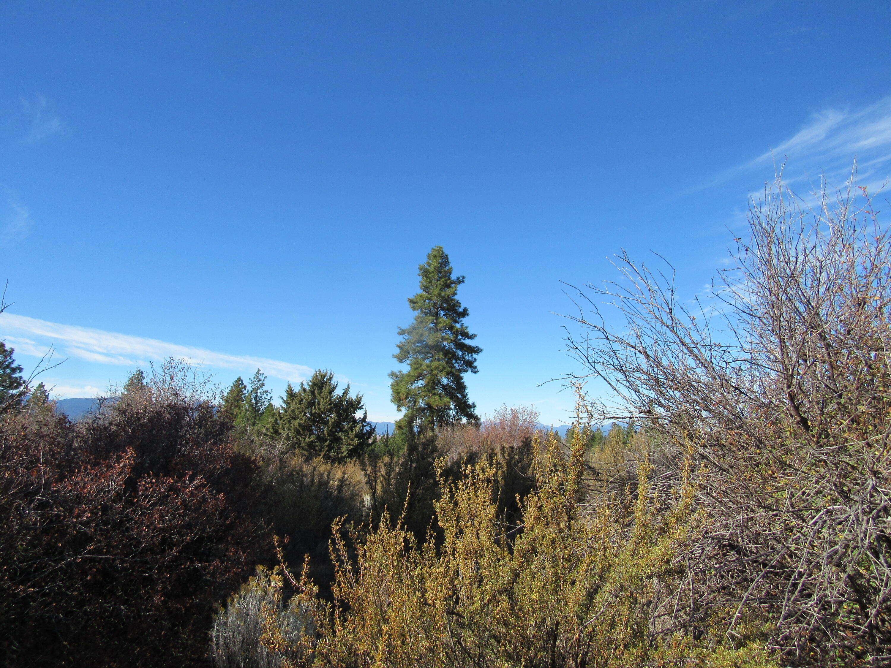 Monte Vista Ranch - Land