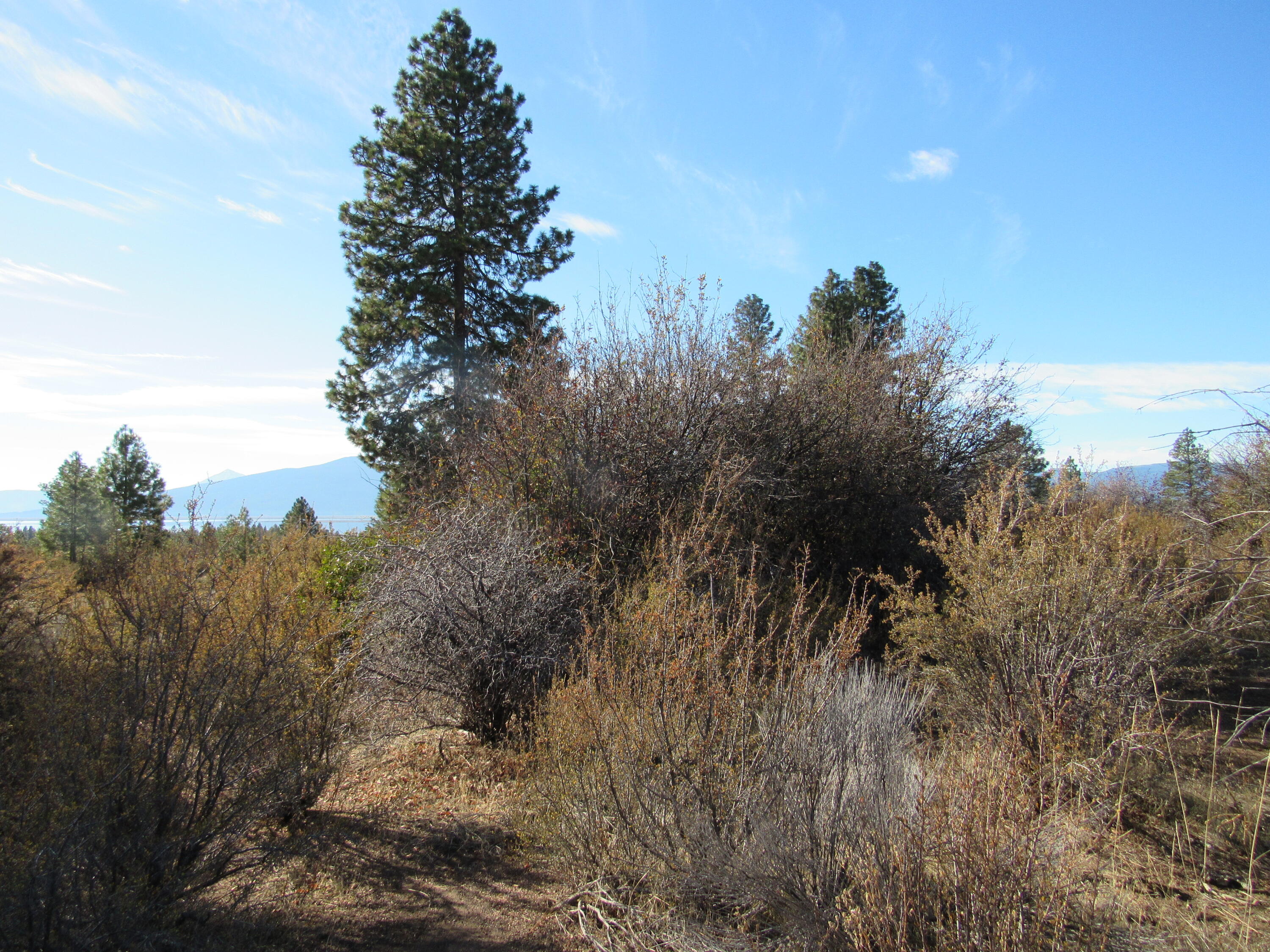 Monte Vista Ranch - Land