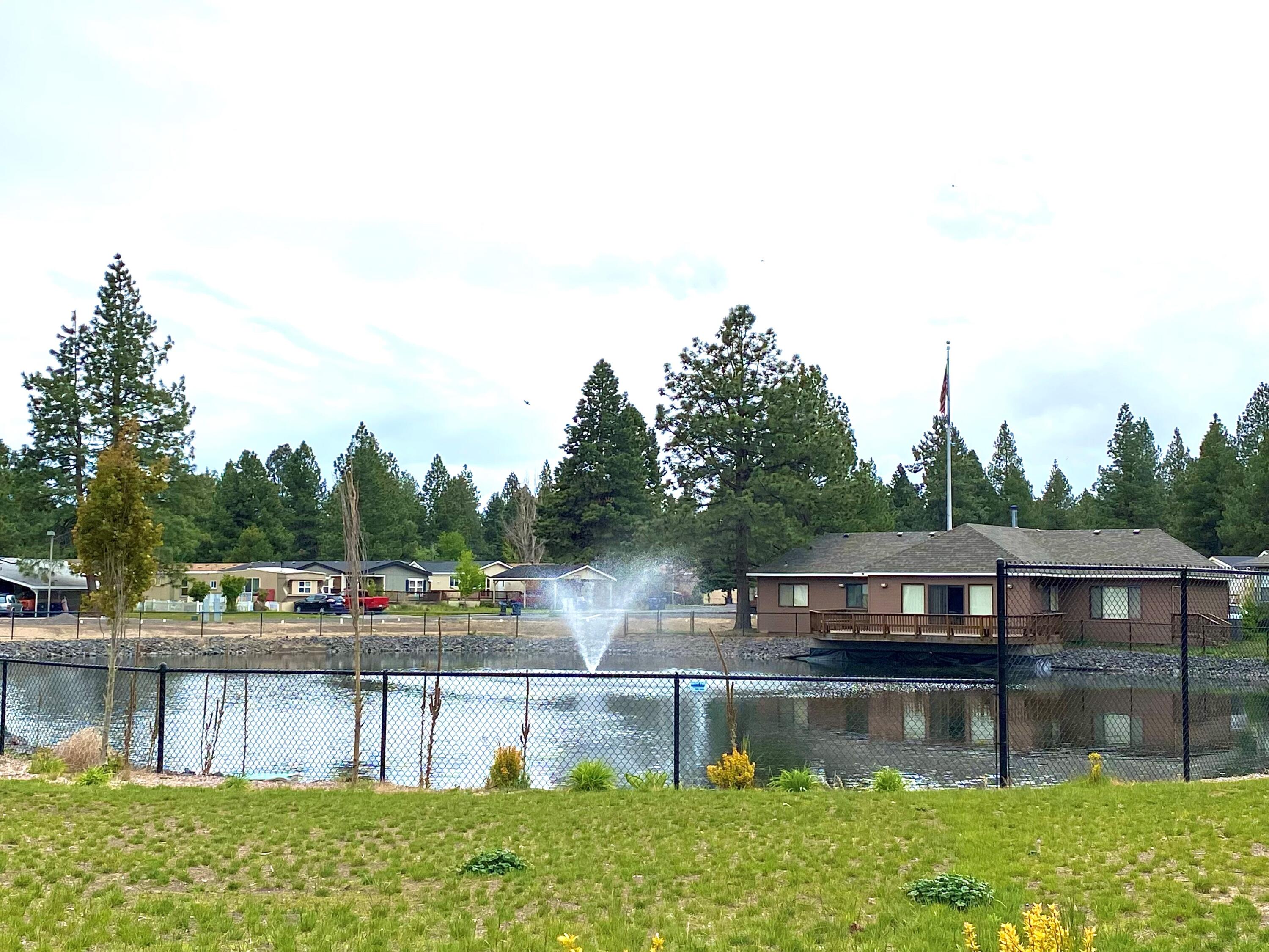 The Pines - Residential