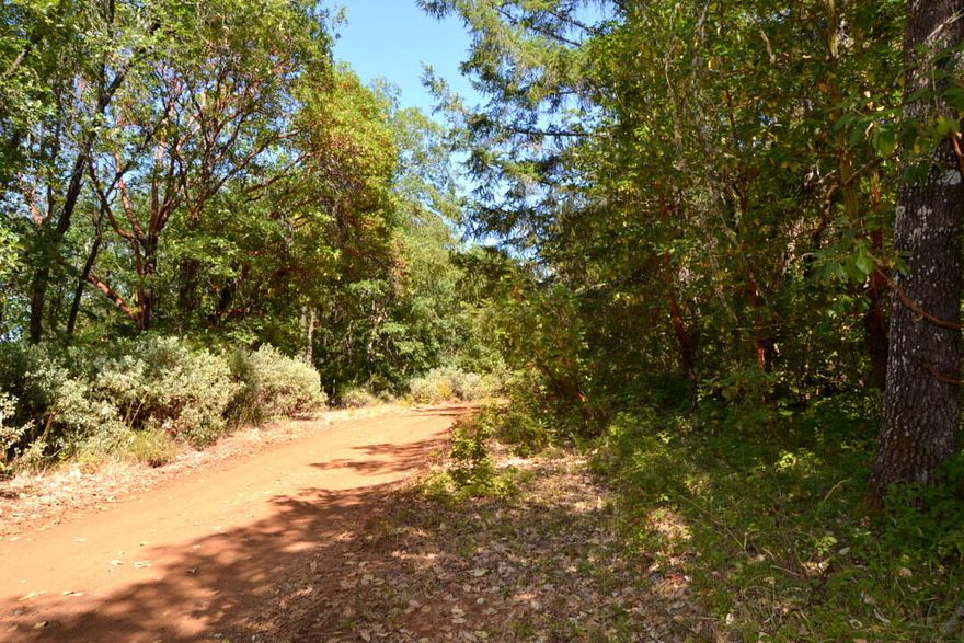 Four legal and buildable parcels offered as a package. Located on unpaved Jonathan Street, a county non maintained road, these properties are level to gently sloping with a gorgeous mix of trees. Power runs along the front, and just a road improvement could unlock even more value. Enjoy peace, privacy, and natural beauty—yet only minutes from town, the highway, and the local airport. A rare opportunity for development, investment, or your own private retreat.