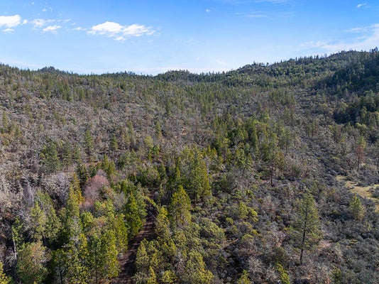 INDIAN CREEK RD, SHADY COVE, OR 97539 - Image 0c6c2fe036365dffaae8a185a4fe1148/2556177176