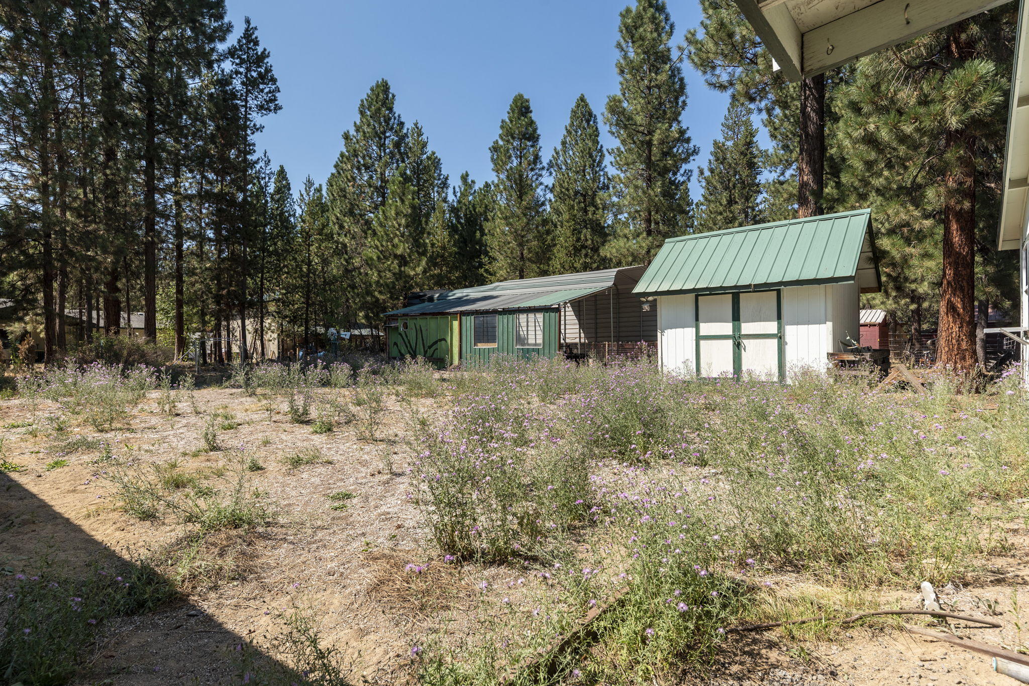 Tall Pines - Residential